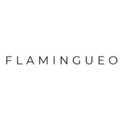 flamingueostore.com